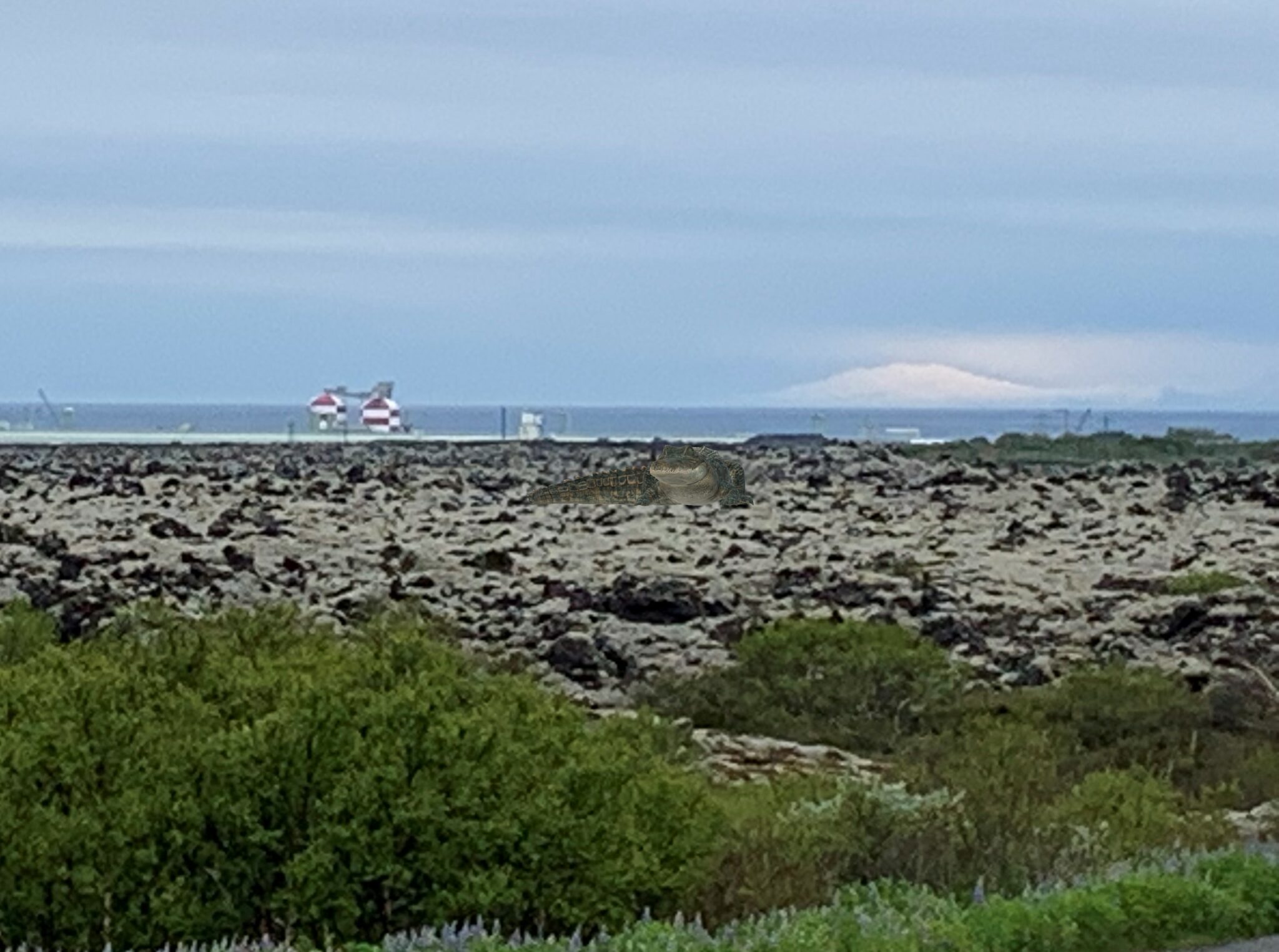 Kjarasamningur samþykktur með yfirgnæfandi meirihluta